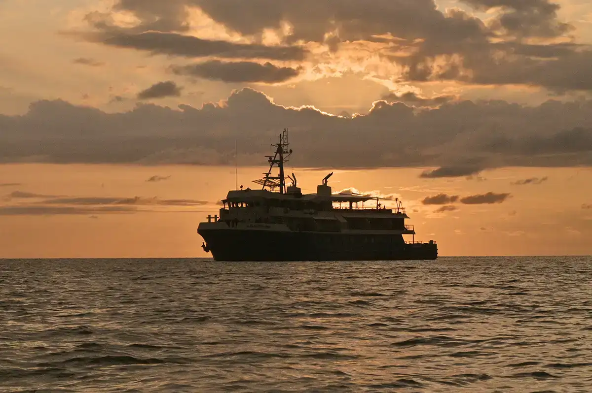 Labuan Bajo Custom Catamaran Builders: Beyond Phinisi Vessels 2027