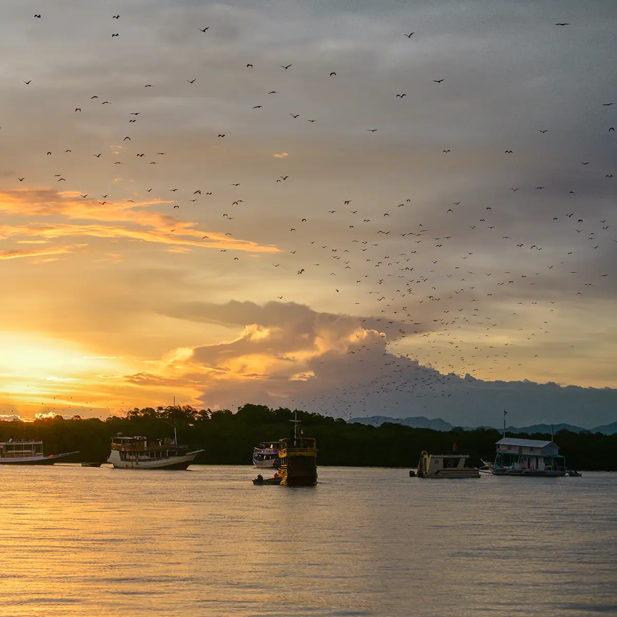 Experience Romance: Sunset Cruises with Labuan Bajo Boat Builders
