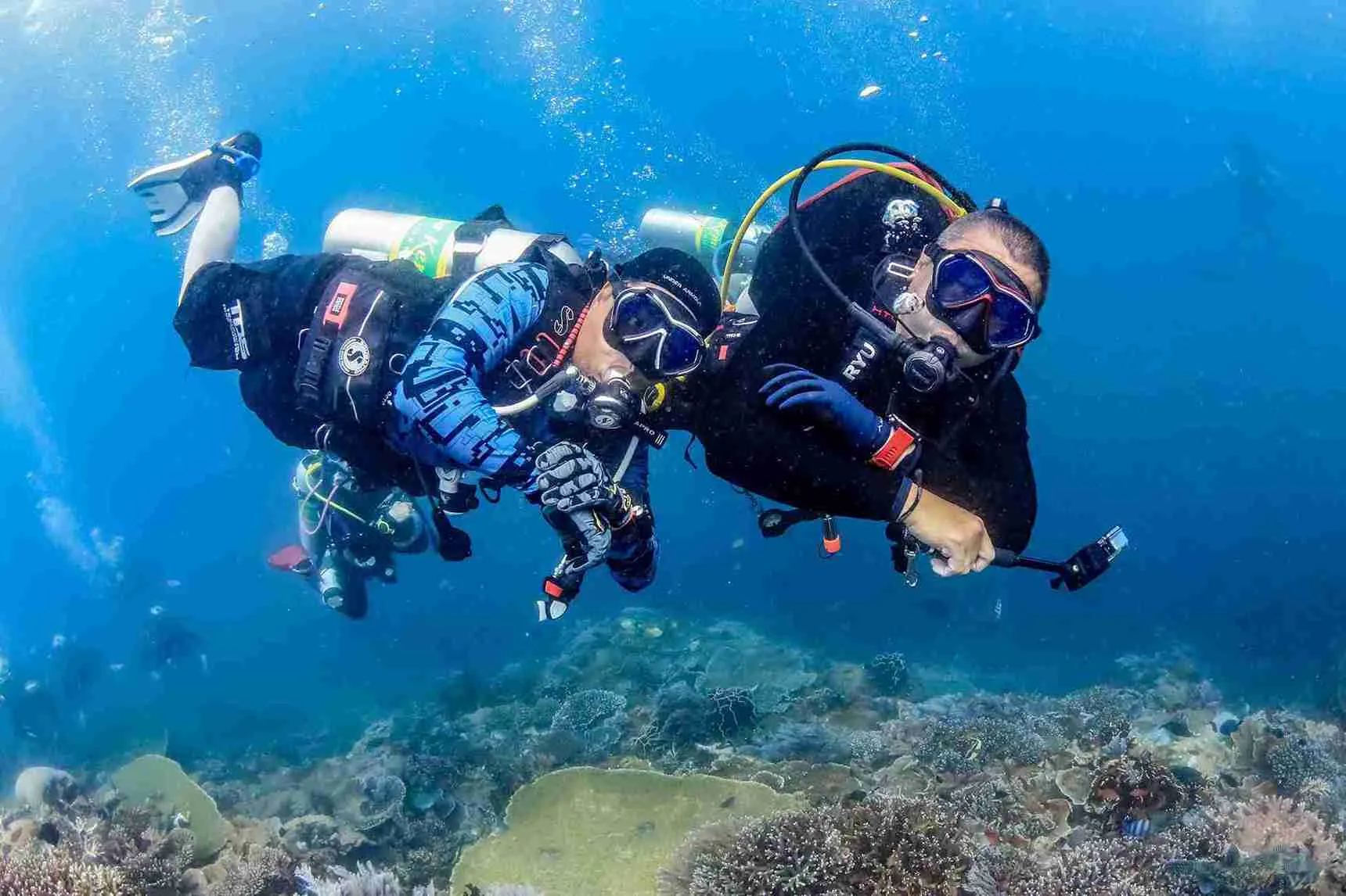 Healthy coral reef in the waters around Komodo National Park
